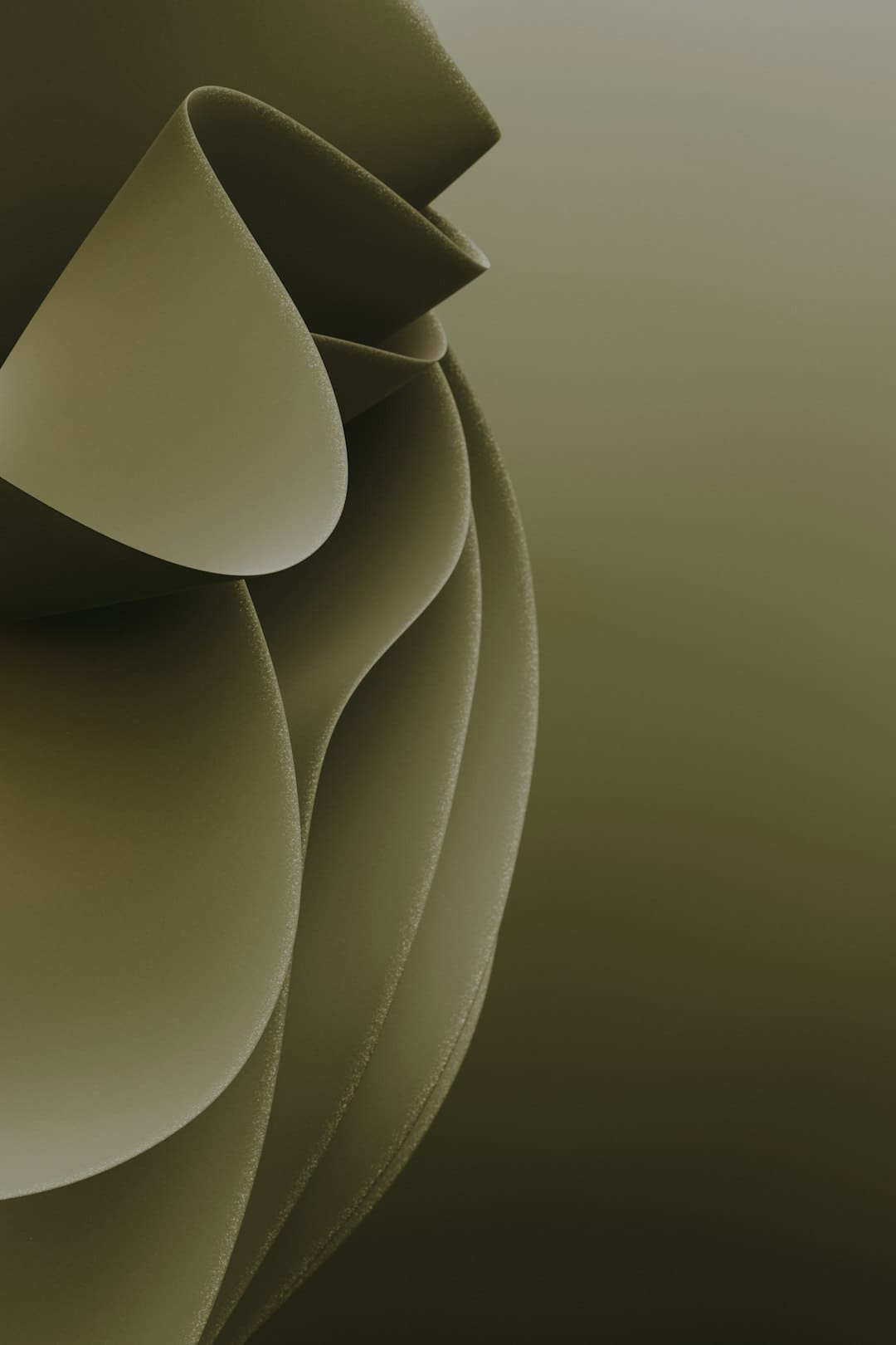 http://upload.mnw.cn/2025/0813/1755085623115.jpg